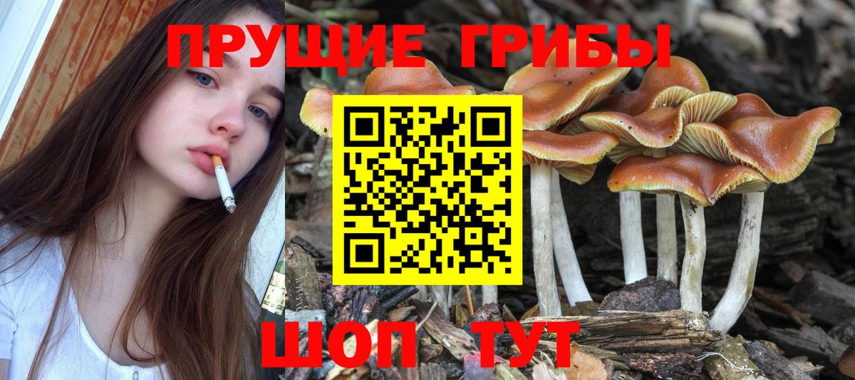 Псилоцибиновые грибы ЛСД  Вход с VPN  Алексин 